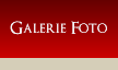 Galerie foto