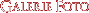 Galerie foto